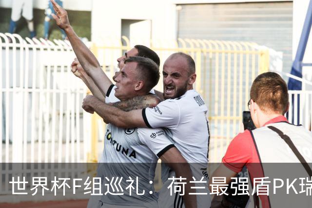 世界杯F组巡礼：荷兰最强盾PK瑞典犀利刀 日本短板明显