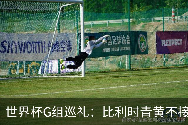 世界杯G组巡礼：比利时青黄不接 伊朗赴美参赛风波不断
